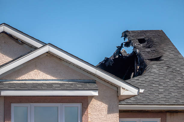 Top rated local Fire Damage Removal specialists in Nokesville, VA